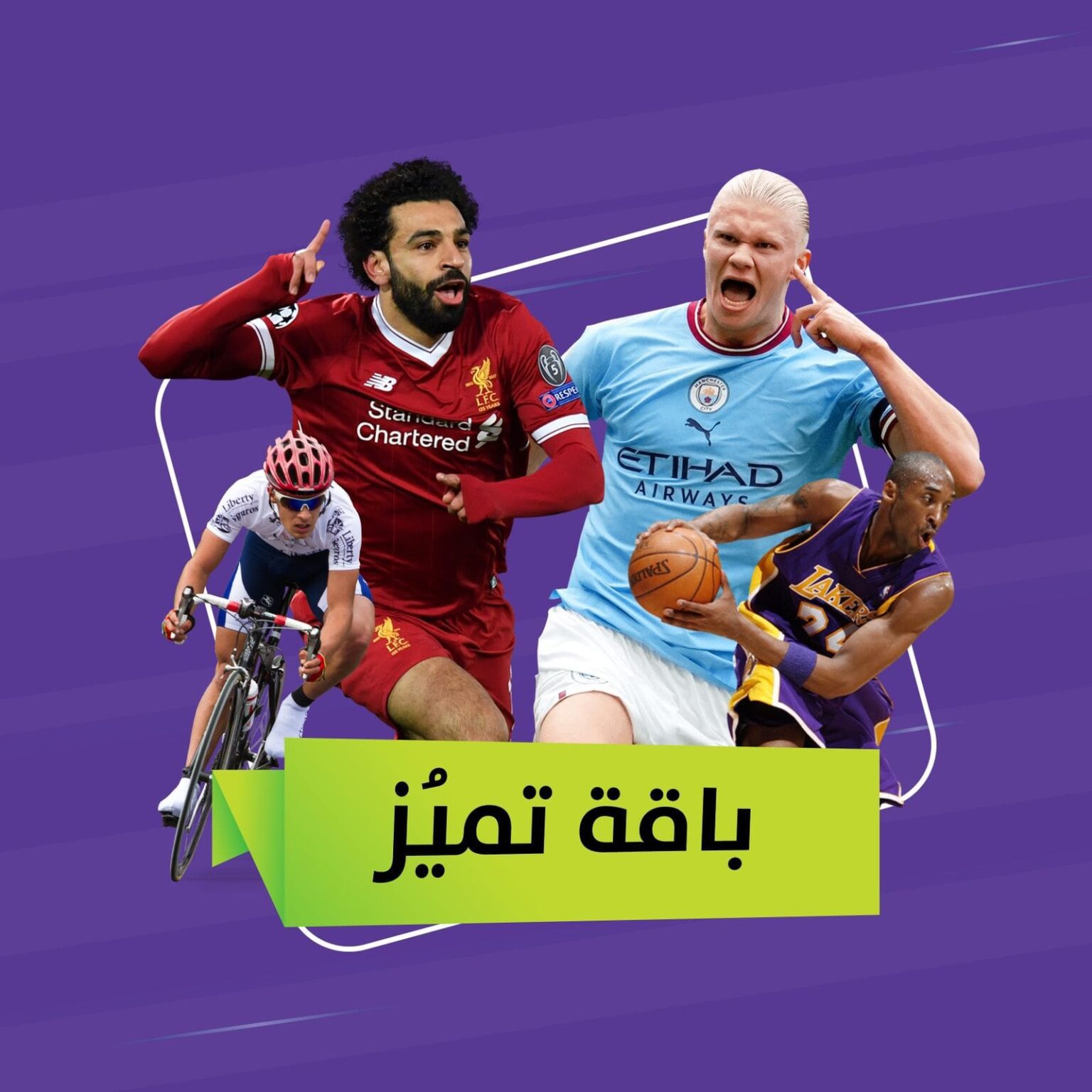 ⁦باقة التميز (عربي)⁩ - الصورة ⁦1⁩